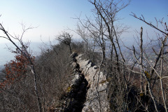 DSC06453