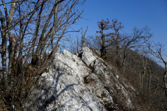 DSC06462