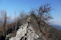 DSC06466