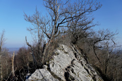 DSC06470