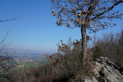 DSC06475