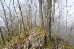 DSC08157