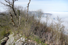 DSC08169