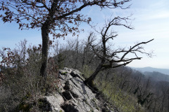DSC08172