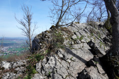 DSC08180