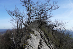 DSC08185