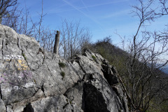 DSC08186
