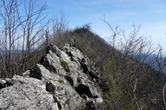 DSC08189