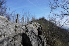 DSC08191