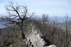 DSC08196