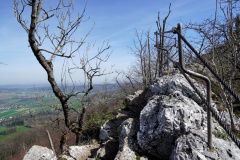 DSC08199