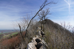 DSC08201