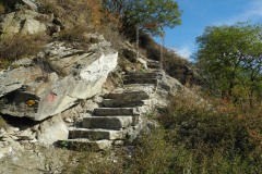 DSCN1419