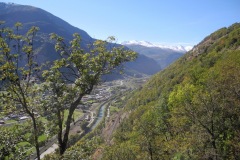 DSCN1449