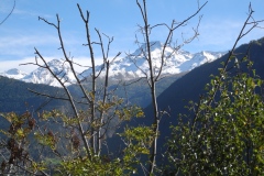 DSCN1450