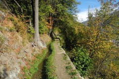 DSCN1451