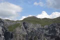 DSCN2805