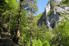 DSCN1736