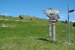 DSCN1745