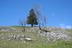 DSCN1746