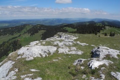 DSCN1752
