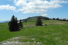 DSCN1758