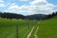 DSCN1760