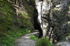 DSCN1762