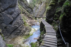 DSCN1765