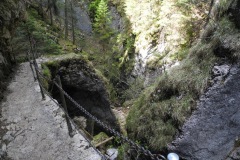 DSCN1767