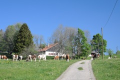 DSCN1577