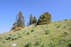 DSCN1583