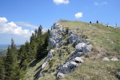 DSCN1596