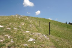 DSCN1597