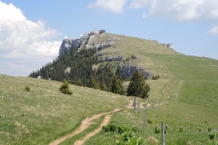 DSCN1605