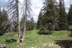 DSCN1620