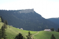 DSCN1626