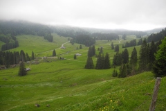 DSCN1772