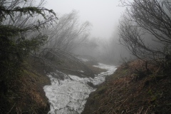 DSCN1776