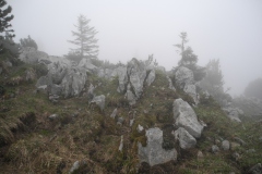 DSCN1777