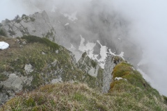 DSCN1784