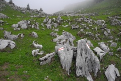 DSCN1787