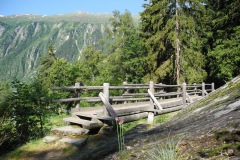 DSCN0889