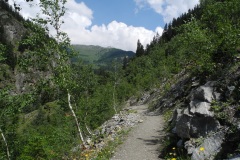DSCN0916
