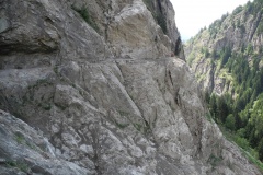 DSCN0920