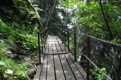 DSCN0925