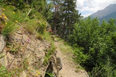 DSCN0936