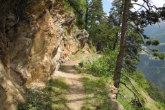 DSCN0937