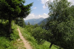 DSCN0938