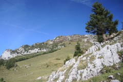 DSCN2962